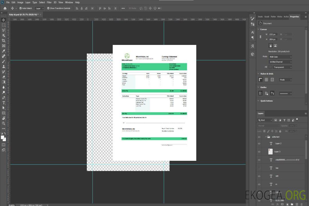 Fiche de paie de la société d'information USA MicroVision template Fiche de paie de la société d'information USA MicroVision template